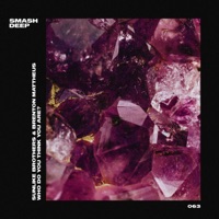 Who Do You Think You Are? - Single - Sunlike Brothers & Brenton Mattheus