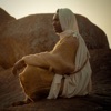 Barua - Single