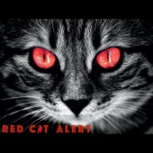 Red Cat Alert artwork