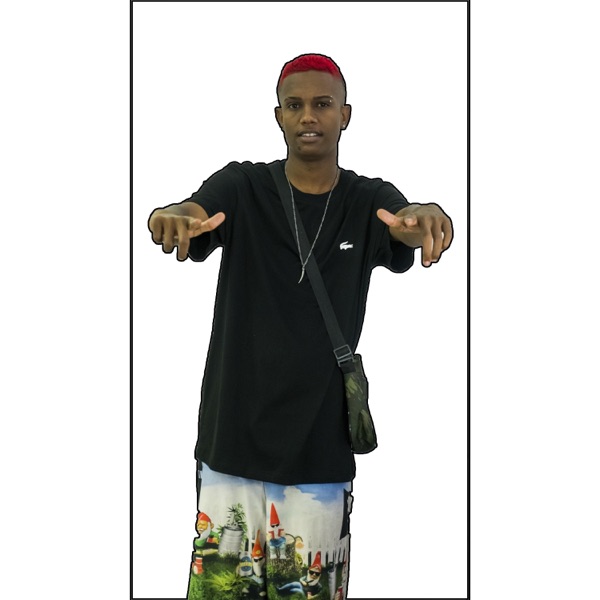 Eu Vou Carimba (feat. Mc Laranjinha)