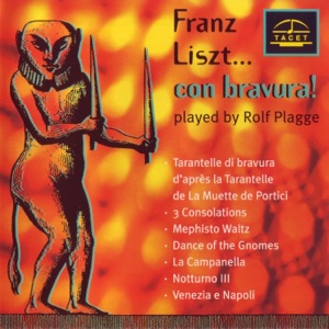 Franz Liszt. con bravura!