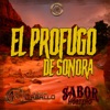 El Profugo de Sonora - Single