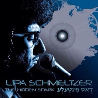 The Hidden Spark - Lipa Schmeltzer
