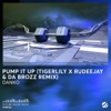 Pump It Up (Tigerlily, Rudeejay & da Brozz Remix) - Single