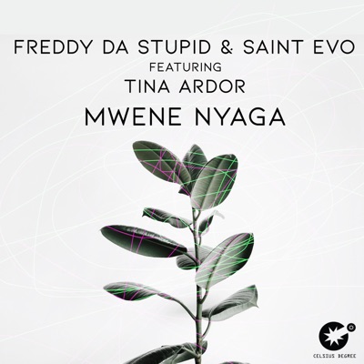 Mwene Nyaga (feat. Tina Ardor) - Single
