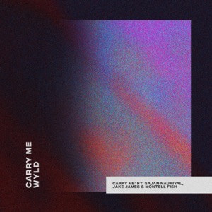 Carry Me (feat. Sajan Nauriyal, Jake James & Montell Fish) - Single