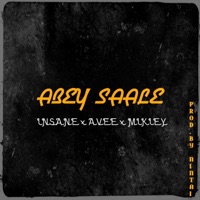 Abey Saale - Single - Mikiey & Badkidz