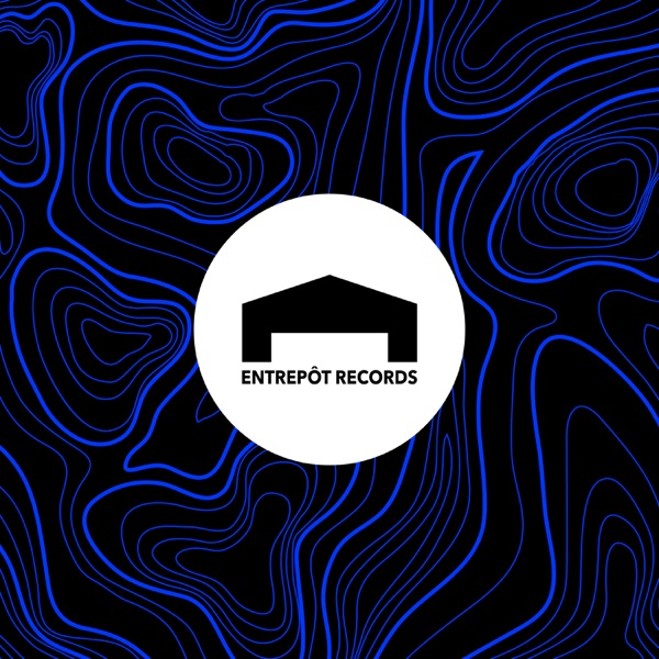 Movin Curves - Single