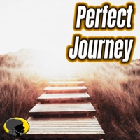 Perfect Journey - Single - Avidan Smith