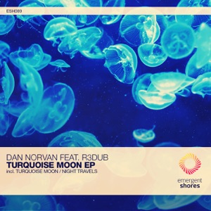 Turquoise Moon / Night Travels - Single
