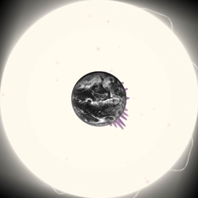 401 - Single