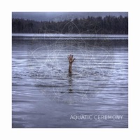 Album cover for Web by Aquatic Ceremony