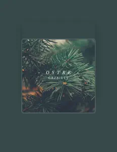 Escucha a Grzmbindol, mira videos musicales, lee su biografía, consulta las fechas de las gira y más.