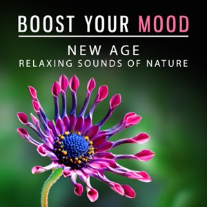 Boost Your Mood - New Age Relaxing Sounds of Nature: Ease Stress, Beat Insomnia, Relieve Pain, Anxiety Free, Music for Positive Thinking, Happiness & Joy