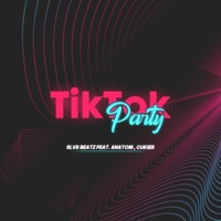 TikTok Party (feat. Anatom & Cukier) - Single - SlvR Beatz
