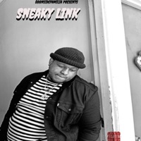Sneaky Link (feat. Alica) - Single - Ayeyo