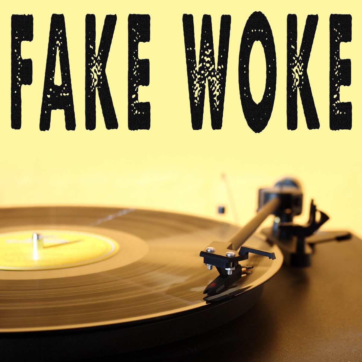 Fake Woke (Originally Performed by Tom Macdonald) [Instrumental] - Single  by Vox Freaks on Apple Music