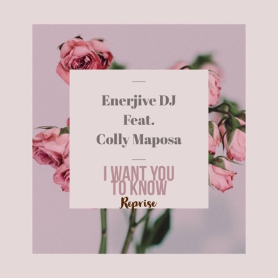 I want you to know [feat. Colly Maposa] [Reprise] - Single