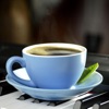 Exquisite Mood