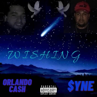 Wishing (feat. Orlando Cash) - Single