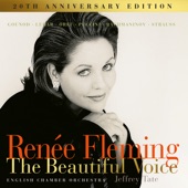 Renée Fleming - The Beautiful Voice artwork