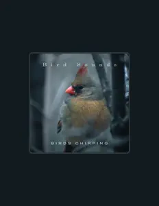 收听 Bird Sounds、观看音乐视频、阅读小传、查看巡演日期等 ！