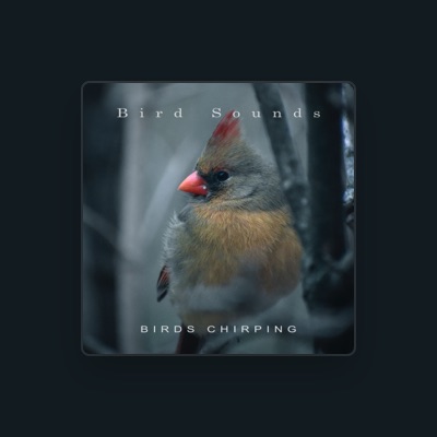 Listen to Bird Sounds, watch music videos, read bio, see tour dates & more!