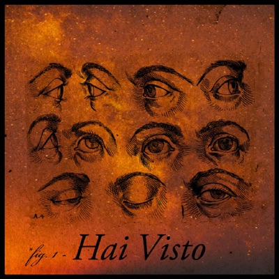 Hai Visto - Single