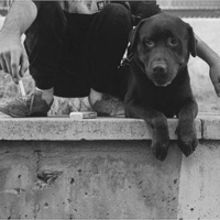 Arcoiris Grisaceo - EP - Pacoskc