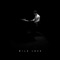 Wild Love (feat. Josh Baird) - Noah Moore lyrics