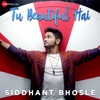 Tu Beautiful Hai - Single