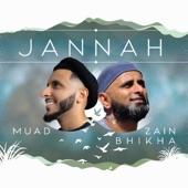 Jannah (feat. Zain Bhikha) artwork