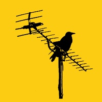 BirdPen