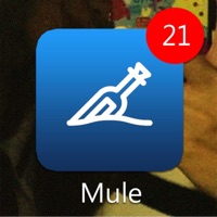 Mule (feat. Kiyo) - Single - LarkMester