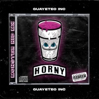 Horny (feat. Monster Kid Mx & Vicc-v RKT) - Single - Guayeteo Inc