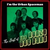 The Bonzo Dog Doo-Dah Band