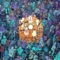 Jesus H. Macy (Tree City Sessions) - Dance Gavin Dance lyrics