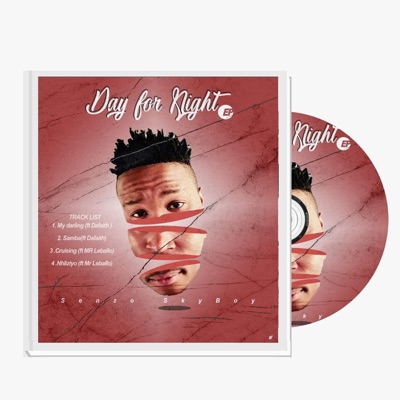 Day for Night EP