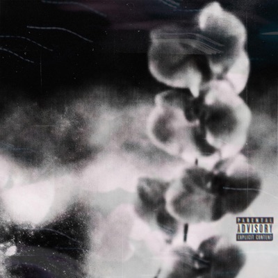 Orchidée - EP