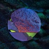 Resurgence - EP