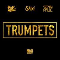 Trumpets (feat. Sean Paul) - Single - Sak Noel & Salvi