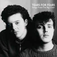 Album Everybody Wants to Rule the World - Tears for Fears