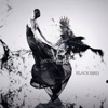 Black Bird - Single