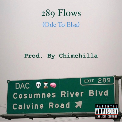 289 Flows (Ode to Elsa) - Single