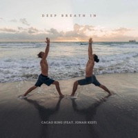 Deep Breath in (feat. Jonah Kest) - Single - Cacao King