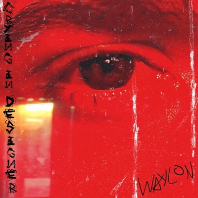 Crying in Designer - Single