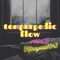 Tempurpedic Flow (feat. Kilroywash3r3) - Lalo Lloyd lyrics