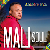 Esifubeni Sam - Mali Soul Cover Art