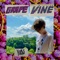 Grape Vine - Yucks lyrics