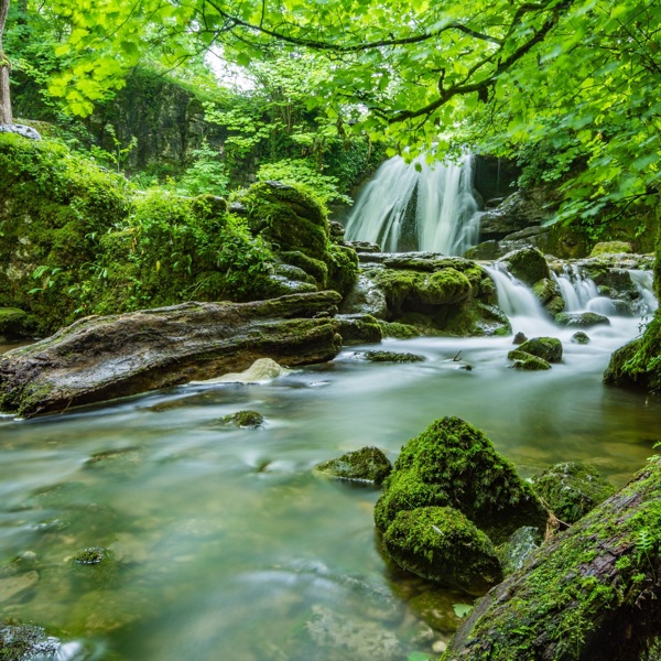 Therapeutic Sounds  Meditation